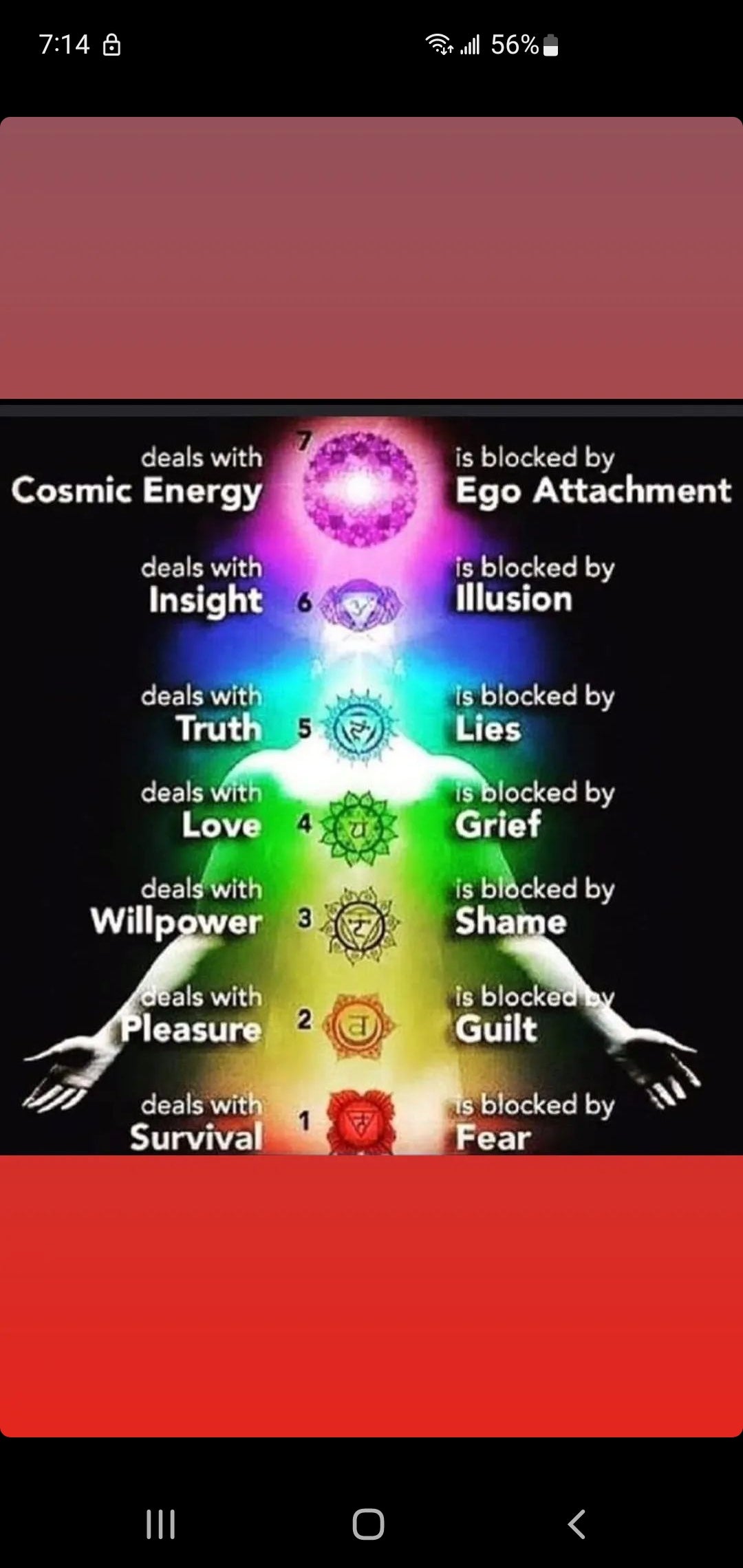 Beginners Guide to the Chakra System