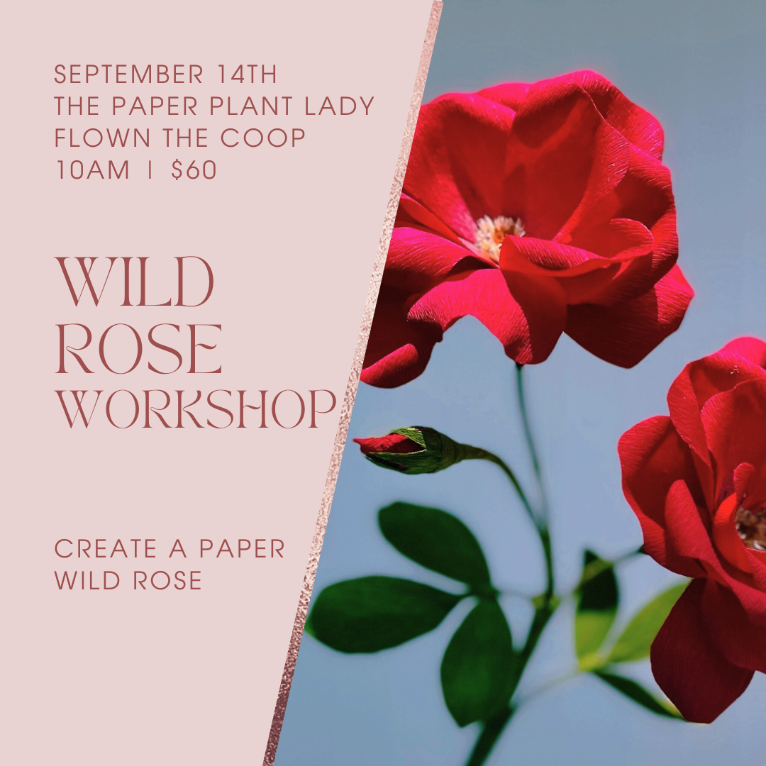 Crepe paper Wild Rose with Kerry Joyce