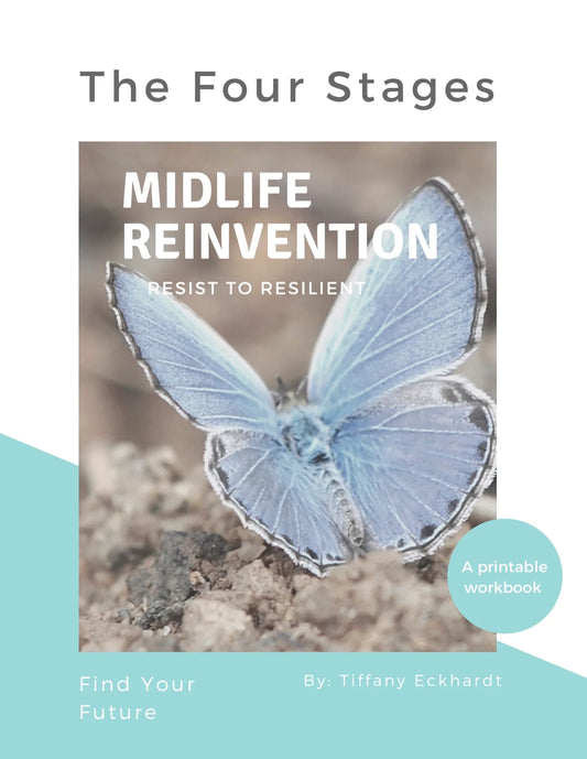 The Four Stages Of Reinvention